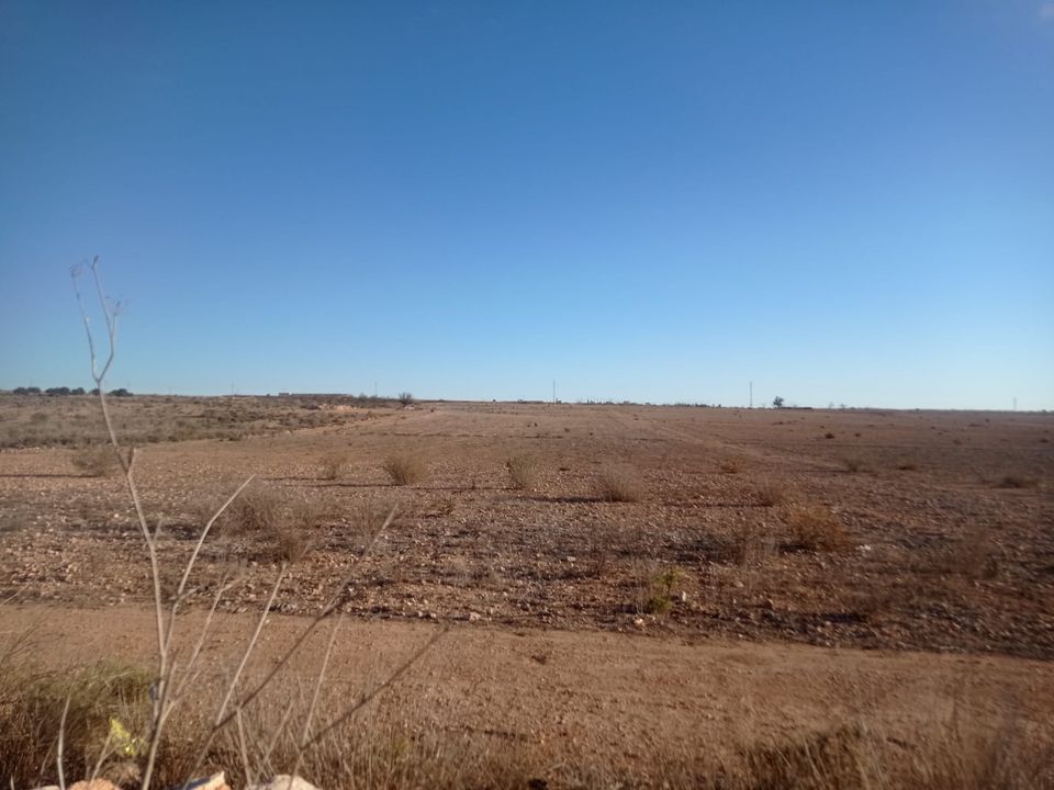 Tomt i Avileses, Murcia - bilde 3